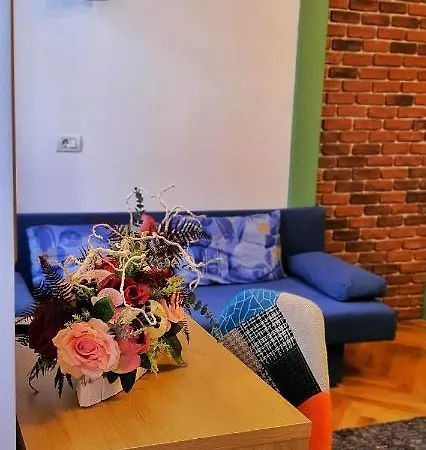 招待所 Casa Crown 布拉索夫