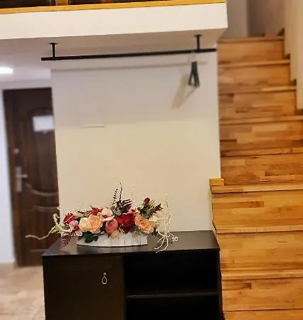 Casa Crown 招待所 布拉索夫