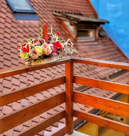 Guest house Casa Crown 3*