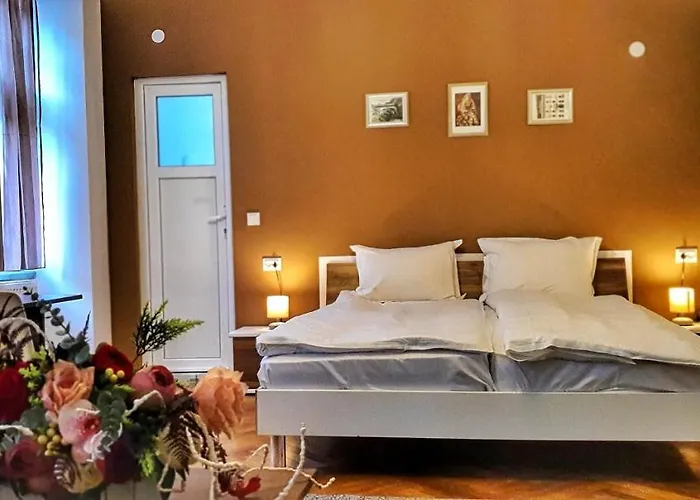 Gæstehus Casa Crown Braşov