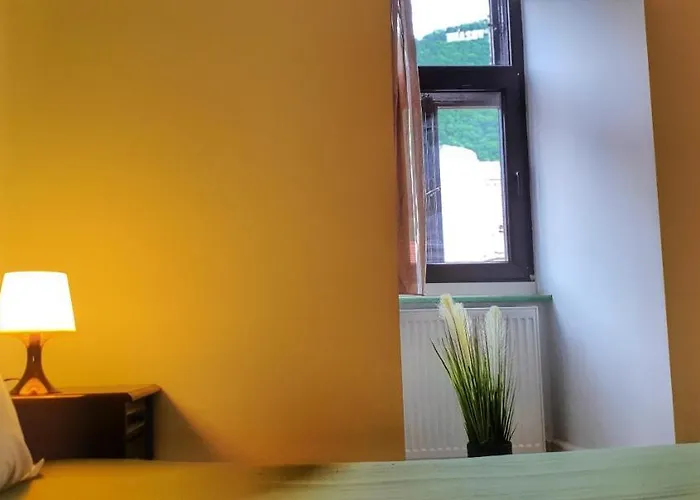 Guest house Casa Crown Brasov