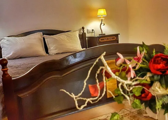 Guest house Casa Crown